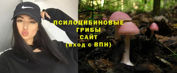 ешки Карпинск