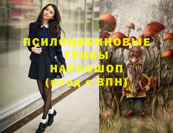 кокс Каменка