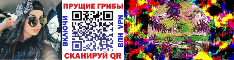 omg зеркало  наркошоп  Кингисепп  Галлюциногенные грибы мухоморы 